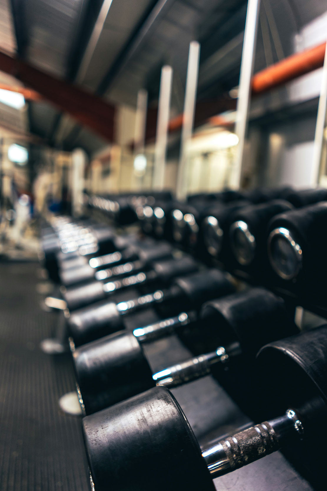 picture of weights